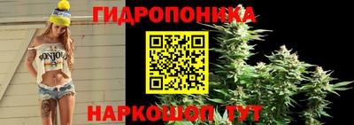 прущие крисы Апшеронск