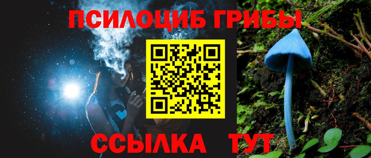 Псилоцибиновые грибы Psilocybine cubensis Батайск
