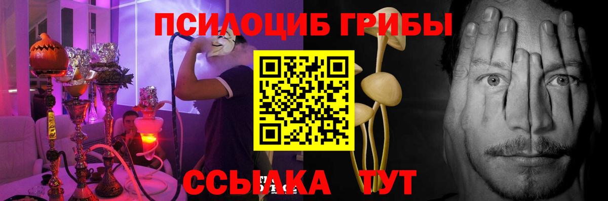 Батайск  Псилоцибиновые грибы Magic Shrooms  Вход с VPN 